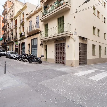 Sweett - Verdi Barcelona
